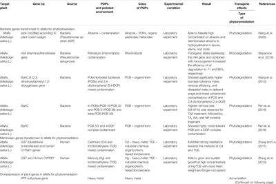 Alfalfa (Medicago Sativa L.): Genotypic Diversity and Transgenic Alfalfa for Phytoremediation